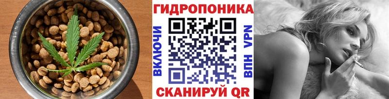 Canna-Cookies марихуана  закладка  Касли 