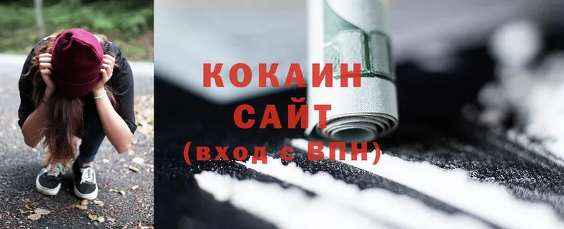 shop как зайти  цены   Касли  Cocaine 99% 