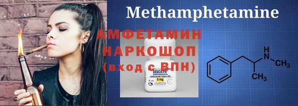 ПСИЛОЦИБИНОВЫЕ ГРИБЫ Михайлов