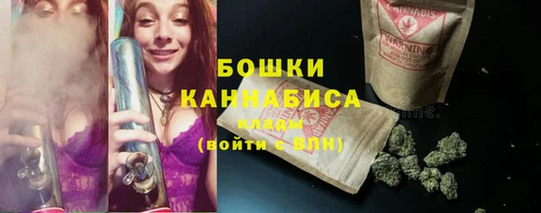 ПСИЛОЦИБИНОВЫЕ ГРИБЫ Михайлов