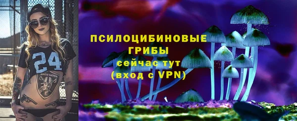 jwh Медногорск