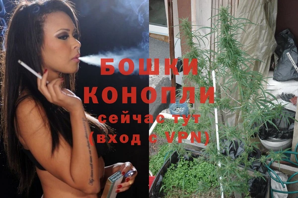 ECSTASY Михайловск