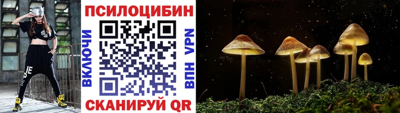 магазин продажи наркотиков  Касли  Галлюциногенные грибы Magic Shrooms 